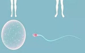 移植后受孕率提升秘籍：睾酮检测与特殊情况应对策略！