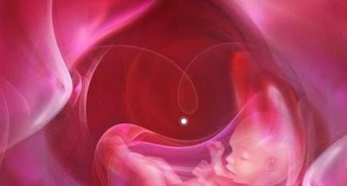 精子畸形率高做几代试管比较好？