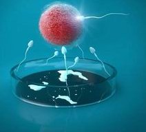 试管婴儿鲜胚移植后注意事项，冻胚移植有什么要注意