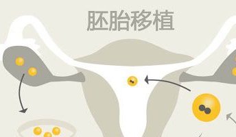 2026年内地赴港试管流程有哪些？内地赴港试管全套流程