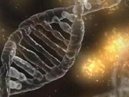 排卵障碍不容忽视，不孕大多是其原因！四会市哪家医院擅长排卵障碍试管方案？