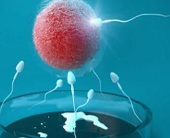 盆腔炎在景德镇做试管三代试管需要多少钱？附成功率解析